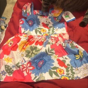 NWT Sz 2t floral dress by counting daisies